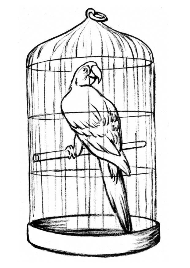 Coloring page parrot in a cage