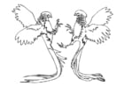 Coloring page parrots fighting