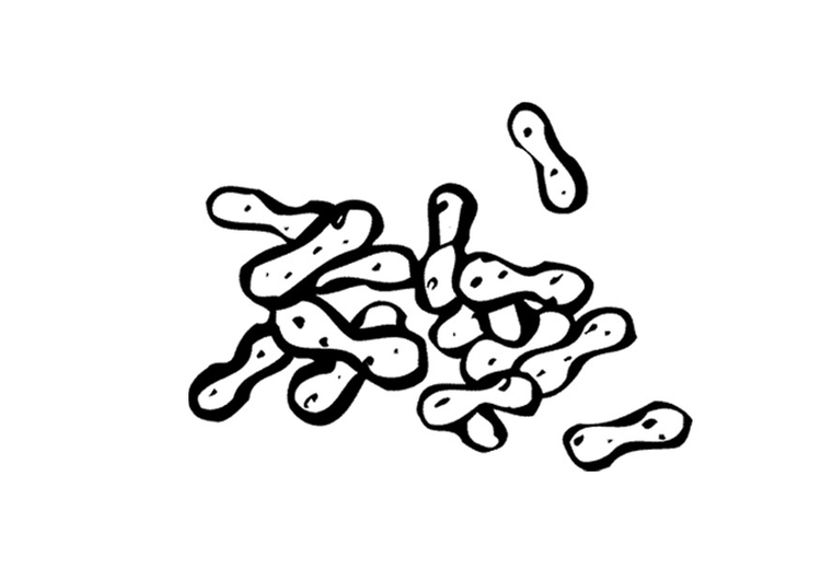 Coloring page peanuts