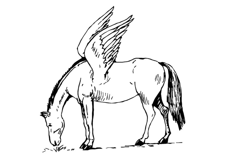 Coloring page Pegasus