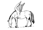 Coloring page Pegasus