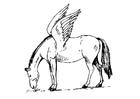 Coloring pages Pegasus