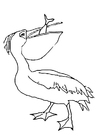 Coloring page pelican eats fish
