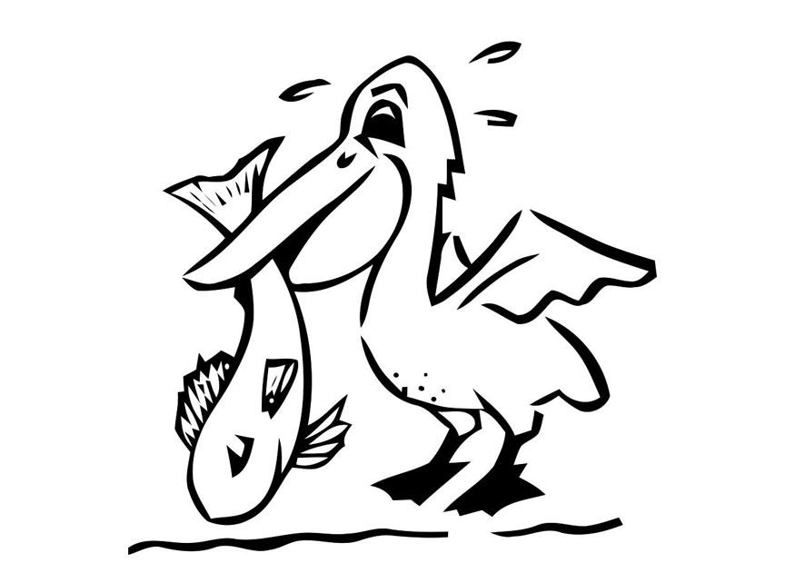 Coloring page pelican with fish