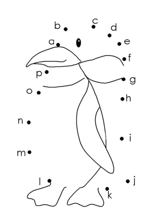 Coloring page penguin - letters