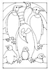 Coloring pages Penguin