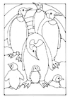 Coloring pages Penguin