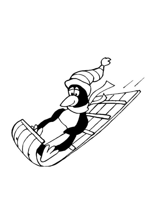 Coloring page penguin sledding