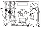 Coloring pages petshop