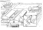 Coloring page pig breeding farm