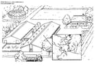 Coloring pages pig breeding farm
