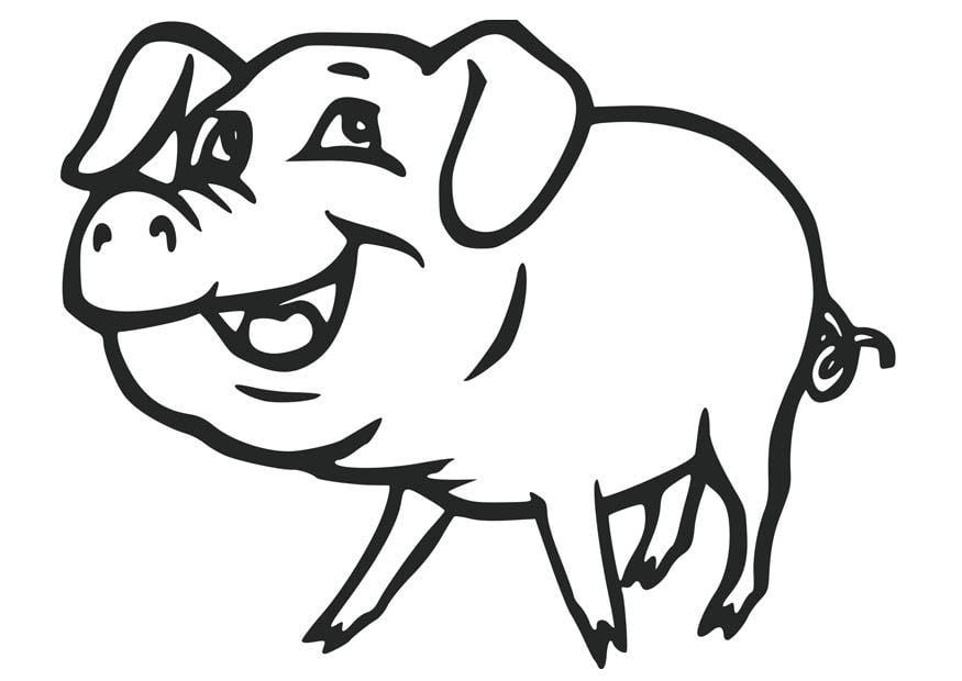 Coloring page pig