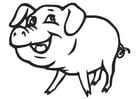 Coloring page pig