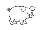Coloring pages Pig