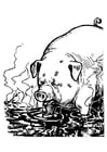 Coloring pages pig