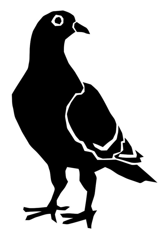 Coloring page pigeon