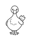 Coloring page Pigeon