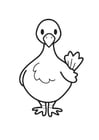 Coloring pages Pigeon