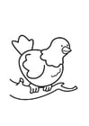 Coloring pages Pigeon