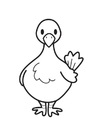 Coloring page Pigeon