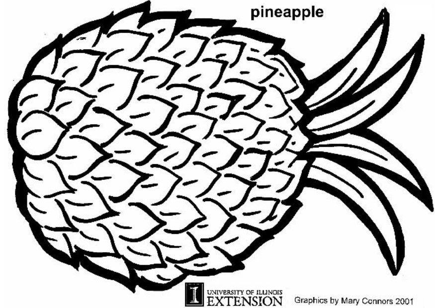 Coloring page pineapple
