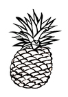 Coloring pages pineapple