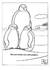 Coloring page pinguins