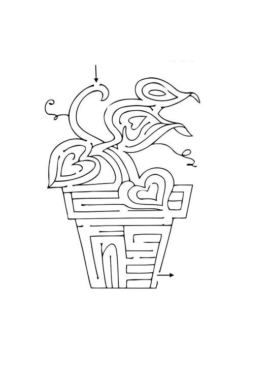 plant maze