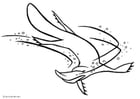 Coloring page platypus