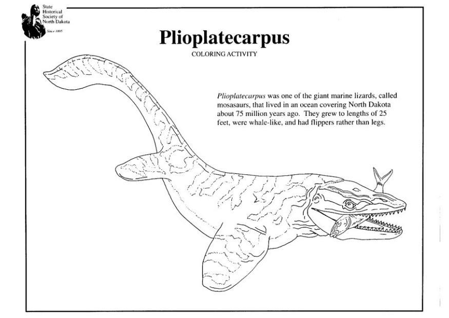 Coloring page plioplatecarpus