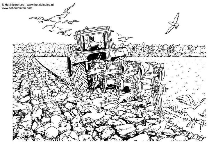 Coloring page plowing
