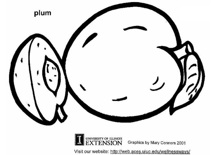 Coloring page plum
