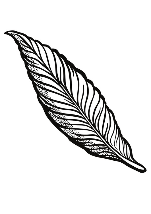 Coloring page plume