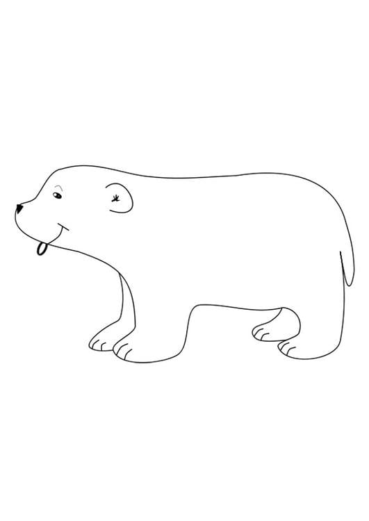 polar bear