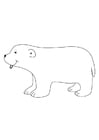 Coloring pages polar bear