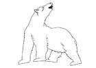 Coloring pages polar bear