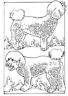 Coloring page poodles