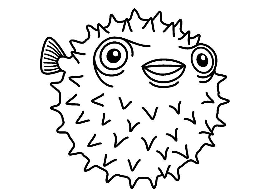 Coloring page porcupinefish