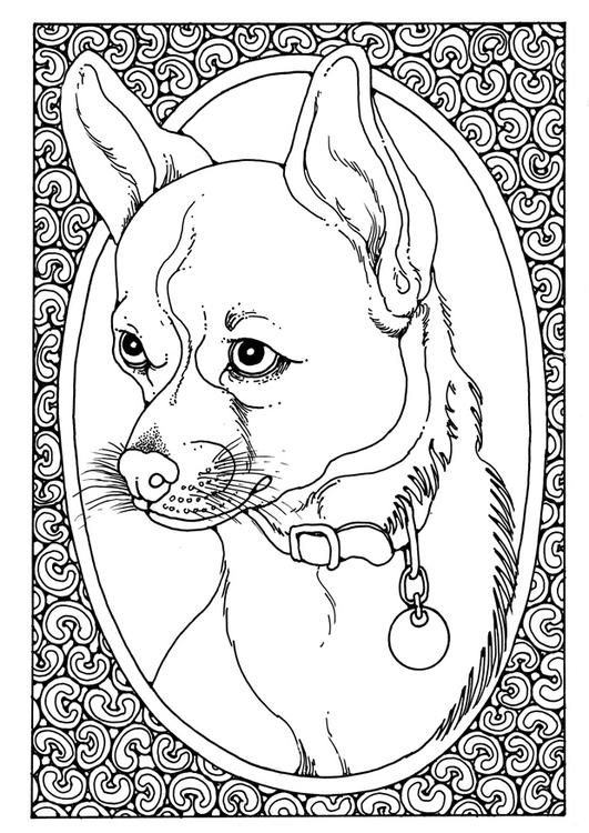 portrait of dog