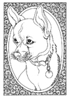 portrait of dog