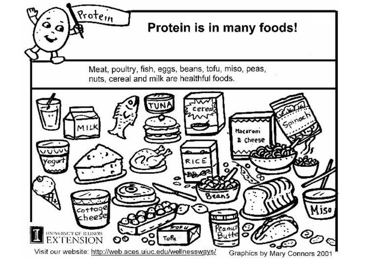 Coloring page protein in foods