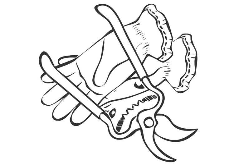 Coloring page pruning shears and gardening gloves