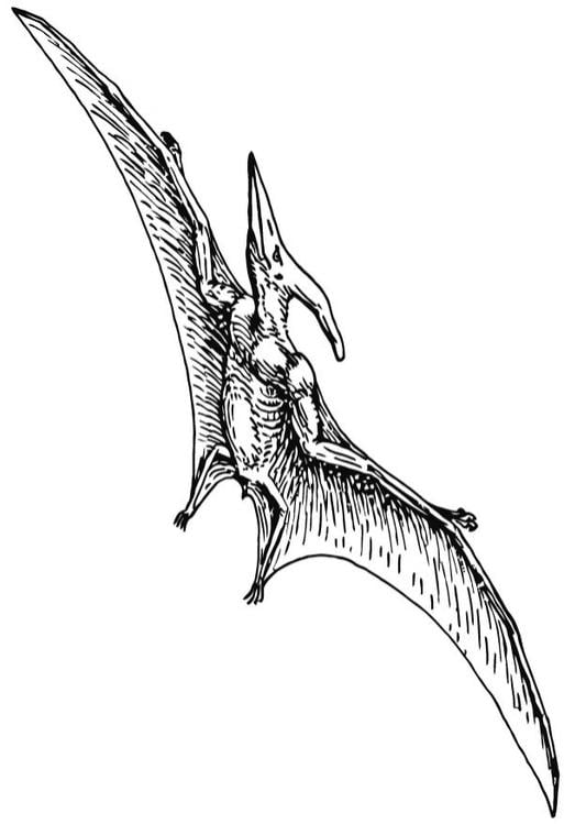 Pterodactylus