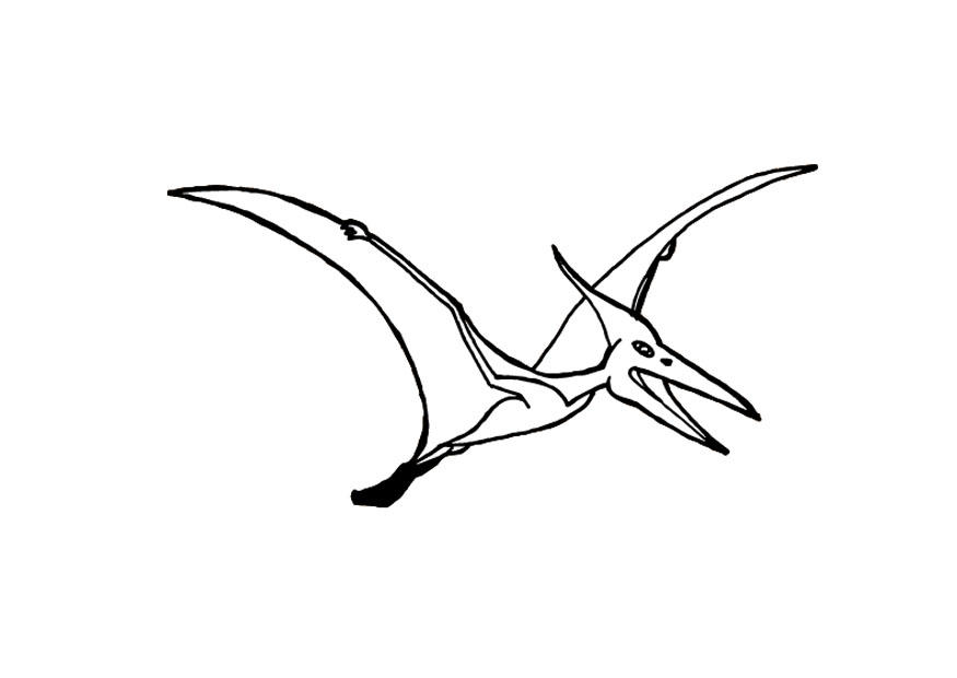 Coloring page pterosaurus