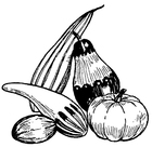 Coloring pages pumpkins