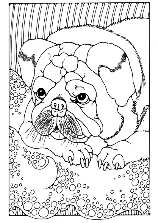 Coloring page puppy