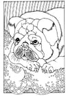 Coloring pages puppy