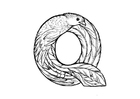 Coloring page q-quetzal