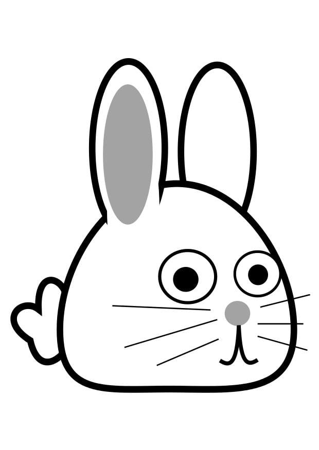 Coloring page rabbit - curved