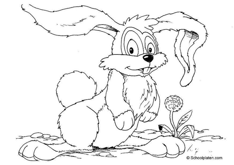 Coloring page rabbit